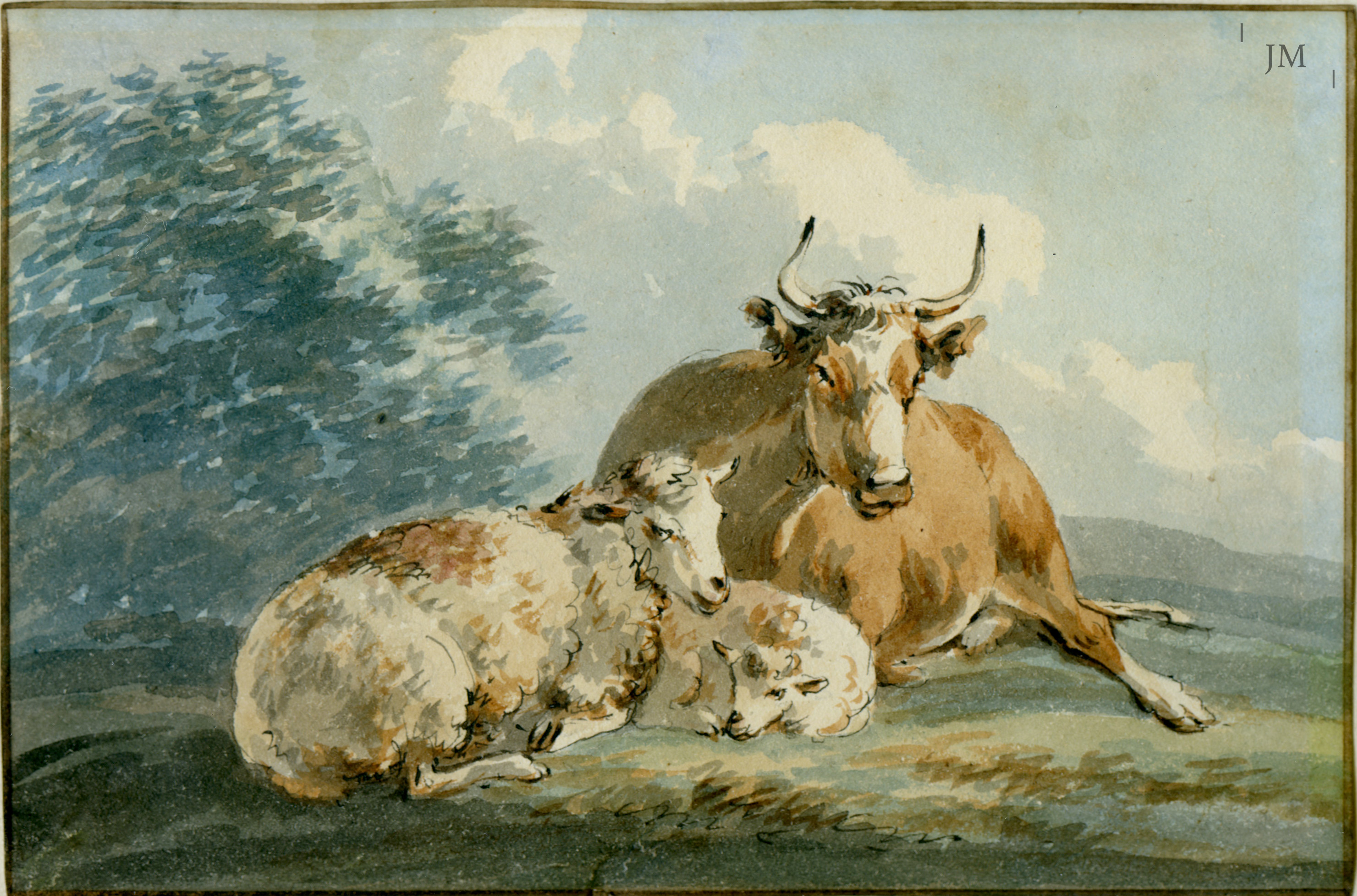 Study of sheep and a cow